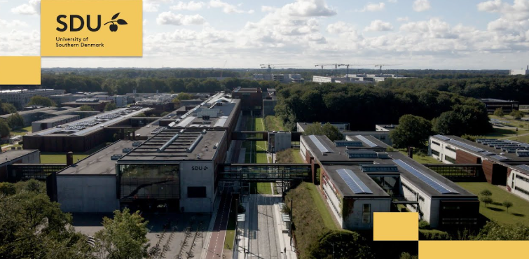 University of Southern Denmark